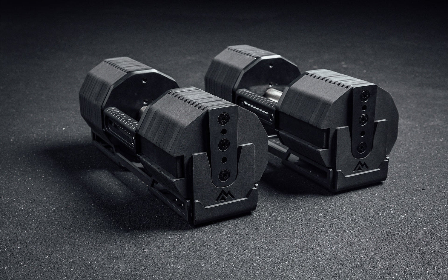 Rep Fitness Pepin Dumbbells