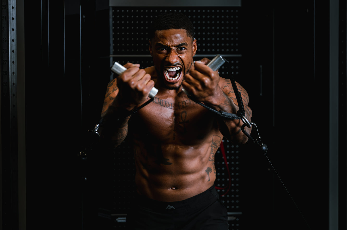 Rep Fitness - Arcadia Max Functional Trainer - Metallic Black