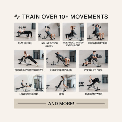 Train over 10 movements on the ABX Weight Bench