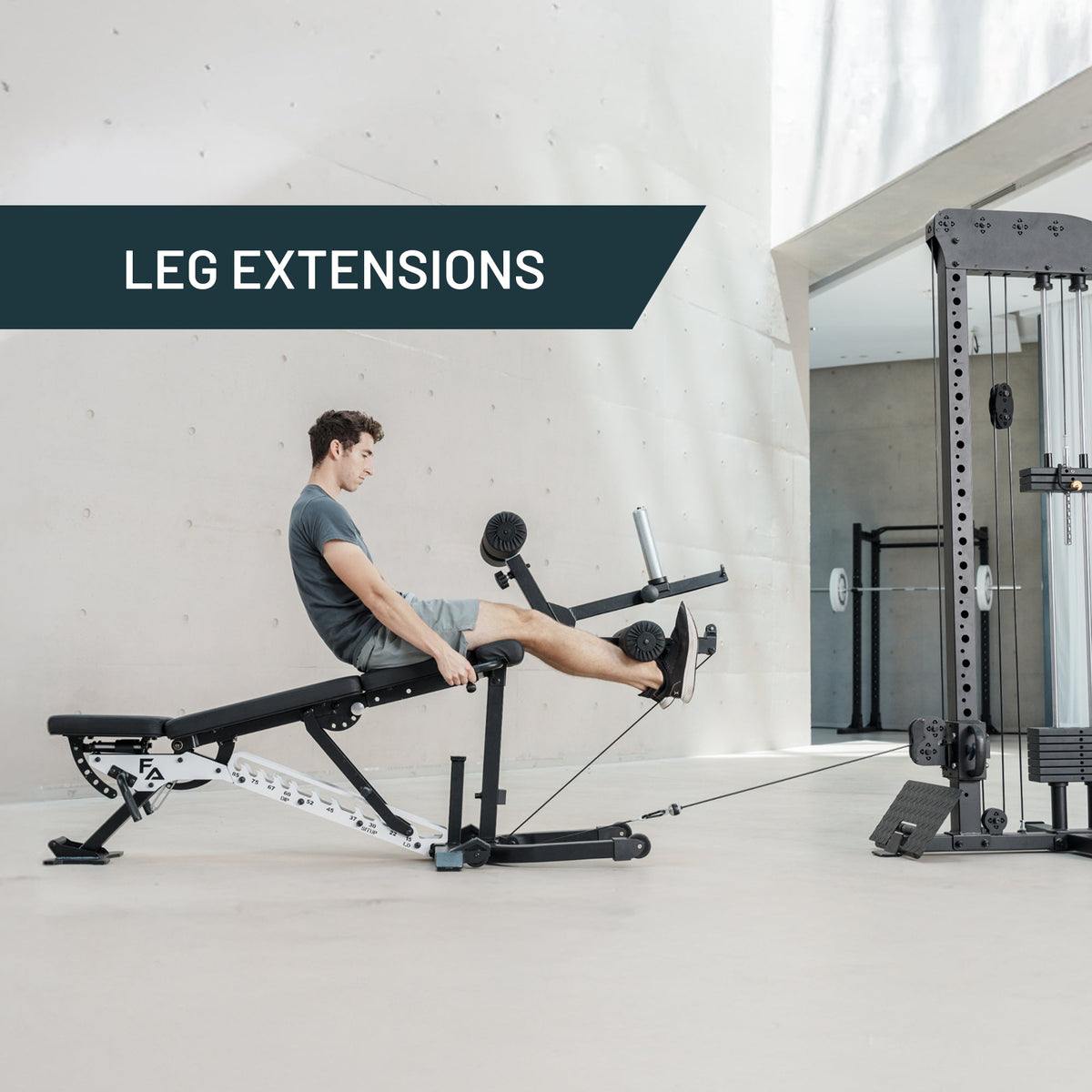 Leg extensions with the ABX Leg Developer